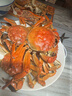 【活蟹】今锦上大闸蟹鲜活螃蟹礼盒全母2.5-2.8两8只装精品礼盒礼品 去绳足重 实拍图