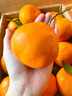 【顺丰】四川眉山甘平柑橘皇后孕妇新鲜水果纯甜小金牛桔子耙耙柑 净重8斤（新鲜带枝叶发货） 精选一级巨无霸（单果350g以上） 实拍图