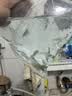 疯狂水草孔雀鱼活体水族宠物观赏鱼冷水耐活小型热带鱼淡水鱼苗 【新手推荐】杂袍孔雀 随机36条 实拍图