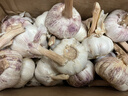 京鲜生山东金乡大蒜带皮新鲜干蒜净重3斤单果5.5cm起 源头直发包邮 实拍图