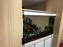 森森（SUNSUN）大型鱼缸底过滤水族箱客厅家用落地玻璃生态金鱼缸 超白隔断屏风款 1.2米长42cm宽（黑白可选） 实拍图