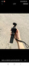 大疆 DJI Osmo Pocket 3 标准版 一英寸口袋云台相机 OP灵眸手持数码相机 旅游vlog 便携美颜摄像 实拍图