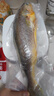 黄小渔宁德三去黄花鱼800g/条 大黄鱼生鲜 鱼类海鱼 海鲜水产 实拍图