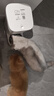 小佩智能自动喂食器SOLO白色 猫碗猫狗喂食器定时定量猫咪自动投食器 实拍图