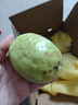 京鲜生白心芭乐番石榴净重3斤 单果150g起 脆果 水果源头直发包邮 实拍图