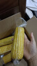京鲜生 东北黄玉米260g*10棒 真空包装黏玉米棒粘玉米 源头直发 实拍图