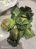 高原夏菜新鲜包菜卷心菜绿甘南菜甘蓝圆白菜时令蔬菜健康营养早餐 9斤农家好菜 实拍图