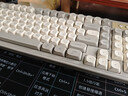前行者V1蓝牙无线键盘鼠标套装机械手感静音三模男女生办公高颜值键鼠便携电脑笔记本平板iPad手机通用 奶油灰-双模键盘-白光【无线2.4G/蓝牙5.0】 实拍图