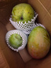 京鲜生 攀枝花凯特芒果 净重8.5斤 带箱9斤 单果500g+ 生鲜水果源头直发 实拍图
