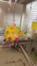 BIRDSTORY鹦鹉玩具解闷自嗨鸟玩具虎皮牡丹玄凤啃咬专用小玩具陪伴玩具大全 【黄色】益智啃咬玩具球 实拍图