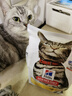 希尔思Hill‘s猫粮泌尿金标系列 希尔斯通用成猫进口全价猫主粮低敏去毛球3.5磅 泌尿猫粮3.5磅*2袋【新效期】 实拍图