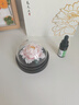 Para Ella永生花陶瓷牡丹生日礼物女伴手礼实用母亲感恩圣诞年会结婚纪念日 实拍图