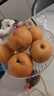 甜萌果蔬山东秋月梨 新鲜水果冰糖梨 送人送礼当季水果年货送礼盒 5斤严选装【约6-9个】净重4.5斤 实拍图