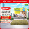 曼牌滤清器（MANNFILTER）空调滤清器空调滤芯FP21003思域CR-V/UR-V/XR-V缤智锋范飞度雅阁 实拍图