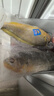 三都港 宁德鲜冻原条黄花鱼净重2斤/2条 宁德大黄鱼 生鲜 实拍图