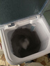 小鸭牌洗衣机半自动双桶双缸家用大容量小型租房宿舍波轮脱水甩干两用双杠省电老式强动力易操作以旧换新 18.5公斤【洗12+脱6.5玻璃面板终身联保】绿 实拍图