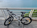 喜德盛（xds）山地自行车黑客350/旭日310 X6铝合金车架21速变速机械碟刹 黑客350白灰色17寸（25款） 实拍图