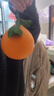 京鲜生【公益好物】川爷爷的爱媛38号果冻橙 净重4.5-5斤 单果120g＋ 实拍图