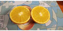 南步广西富川纽荷尔脐橙 甜脐橙子贺州特产冰糖果冻橙新鲜水果礼盒装 5斤 精选中小果【单果70cm+】 实拍图