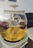 美的（Midea）花漾0胶水全玻璃全自动养生壶 办公室多功能煮茶壶 烧水壶恒温电热水壶煮茶器花茶壶1L YS10B101 实拍图