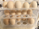 东方甄选谷物鲜鸡蛋/DHA/大码蛋可生食新鲜营养早餐溏心蛋生鲜谷物喂养 30枚 1.86kg 【大码蛋】每枚≥62克 实拍图