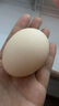 正大无抗认证 富含硒元素 营养蛋白 早餐食材 健康轻食 礼盒装 富硒蛋30枚/1.68kg 实拍图