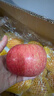 佳农 烟台红富士苹果 净重10斤大果 果径85mm+ 生鲜水果礼盒 实拍图