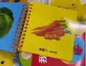 阳光宝贝 七彩花瓣认知书（全套6册） 早教启蒙 实拍图