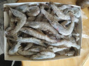 万景 国产大虾 盐冻北海白虾(大号) 80-100只净重4斤  家庭聚餐 海鲜 实拍图