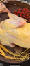 硒全食美富硒老鸽王 450g/只 冷冻 供港鸽子生鲜冷链 煲汤优选卤煮食材 实拍图
