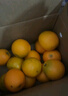 壹棵弘芯正宗高山脐橙橙子应季新果时令湖北新鲜水果手剥橙子生鲜整箱 4.5斤精选一级家庭装 净重约4斤 实拍图