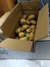 新鲜土豆现挖现发山东正宗黄心黄肉当季蔬菜马铃薯洋芋薯条3两起 山东土豆带箱9斤 中大果 实拍图