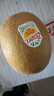 佳沛（zespri）新西兰 阳光金奇异果12粒礼盒特大果单果约122-146g 猕猴桃 水果 实拍图