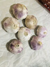 大蒜头出口品质网兜紫蒜蔬菜调料新鲜大果烧烤火锅食材 【精品网兜装】5头装 150g 实拍图