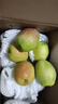 京鲜生 新疆库尔勒香梨 净重4.5斤 单果140g以上 生鲜水果 礼盒装 实拍图