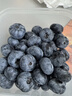 鲜级佳辽宁丹东蓝莓王【多地次日达】新鲜孕妇L25花香蓝莓礼盒怡颗蓝莓 4盒【100g/盒】品质升级-精品果 甄选大果 新鲜升级【单果16-18mm+】 实拍图