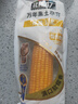 北纬47°黄糯玉米4斤(200g*10根)东北甜黏鲜玉米棒真空包装  早餐苞米 实拍图
