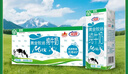 花园【新鲜日期】黄金牧场纯牛奶200克*20盒整箱装新疆原产礼盒装 实拍图
