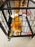 京喜自营-专用品牌狗笼子室内带厕所中大型犬加固狗屋送货上门 【热销推荐】加固款黑色63*42*51 实拍图
