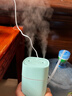 Hulker 【10W+销量加湿器】加湿器 卧室迷你家用办公室桌面车载低噪上加水小型usb空气加湿器 【绿色】升级双喷/澎湃出雾/600ml大容量 实拍图