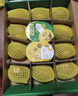 佳沛（zespri）新西兰 阳光金奇异果12粒礼盒特大果单果约122-146g 猕猴桃 水果 实拍图
