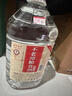 不老潭粮食酒 桶装高度浓香型泸州糯红高粱散装白酒纯粮壹号 52度 5L 实拍图