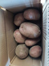 内蒙红皮大土豆新鲜黄心土豆现挖洋芋地蛋马铃薯粉面火锅批发 红皮土豆大果 3斤 【单果150g+】 实拍图