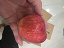 于小乖甘肃天水花牛粉面苹果婴儿刮泥老人孕妇粉糯红蛇苹果(需放粉) 带箱5斤中果（净重4.5斤） 实拍图