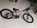 途锐达超轻儿童自行车6-8-12岁女孩男孩脚踏车小孩学生单车20寸蜂鸟粉 实拍图