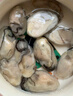 海鲜世家冷冻生蚝肉净重1.6斤 60-70只/袋 牡蛎肉 火锅烧烤食材海鲜生鲜 实拍图