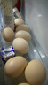 京鲜生可生食标准鲜鸡蛋30枚礼盒装3斤 源头直发 实拍图