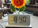 小米米家电子温湿度计Pro 室内车内蓝牙智能连接时钟电子墨水屏灵活摆放多功能温湿度显示温度计 实拍图