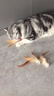 瓜洲牧猫玩具弹力球羽毛逗猫棒自嗨解闷神器网红款猫咪追赶互动宠物用品 羽毛弹力球【运动款】三个装 实拍图