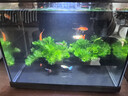 森森金麟超白玻璃鱼缸一体缸自循小型懒人家用水族箱LE-300 实拍图